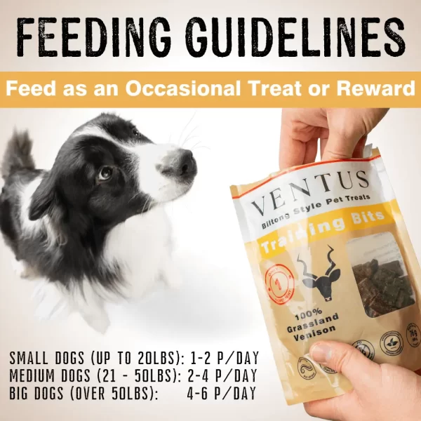 A picture of a dog waiting to be fed Ventus Training bits with feeding guidelines.