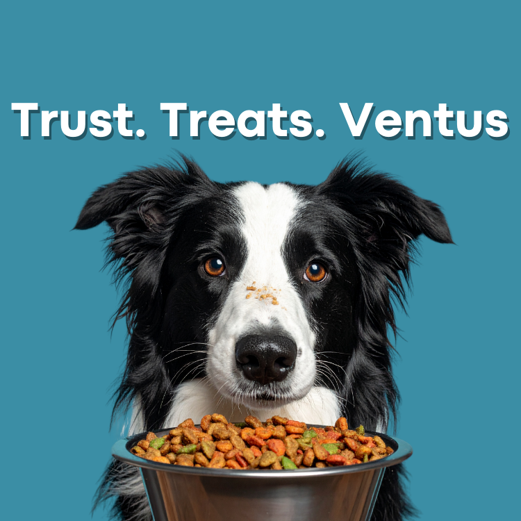 Ventus Protein Dust