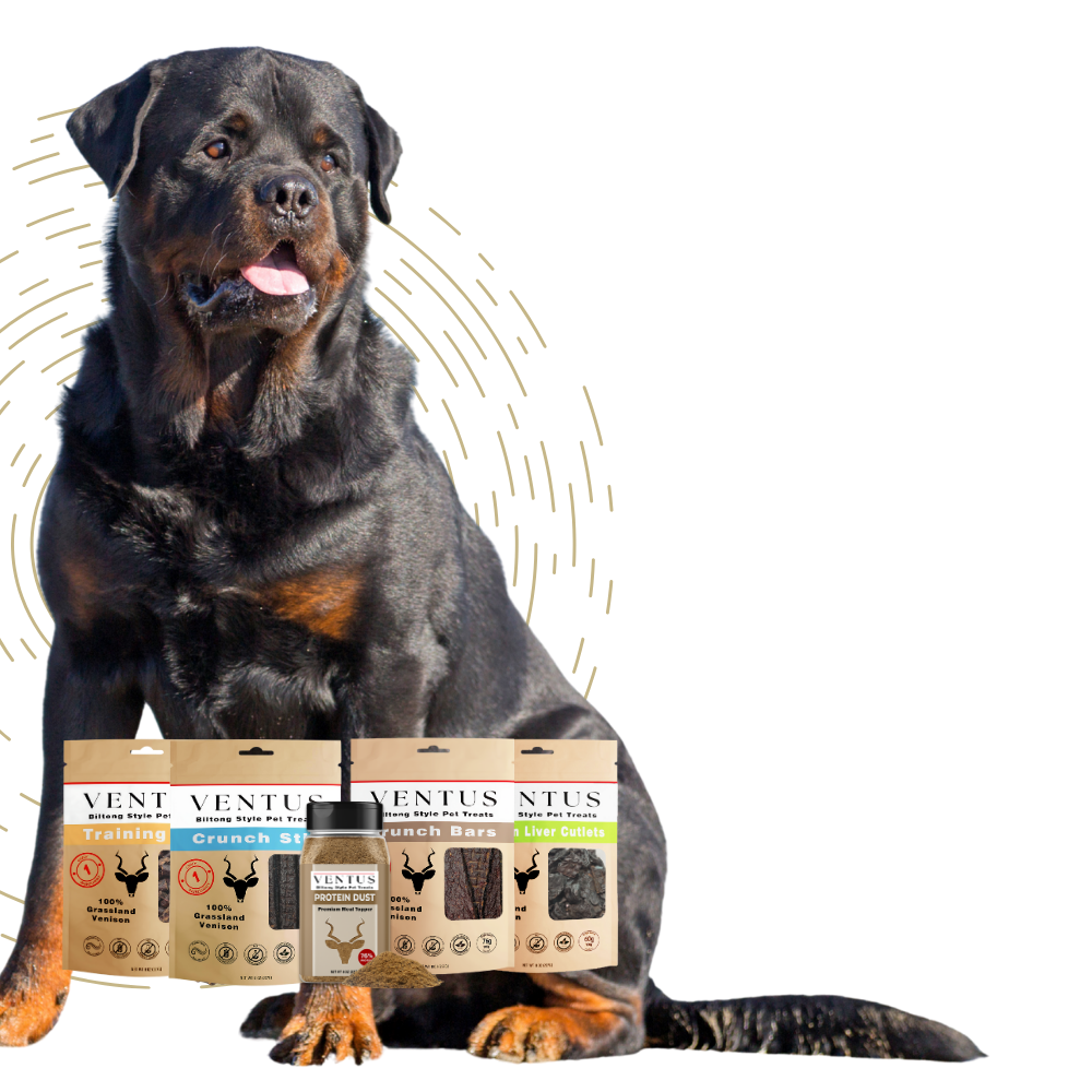 Ventus Dog Treats